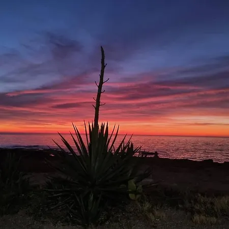 Lägenhet Amaizing Flat With Sea View Torrevieja